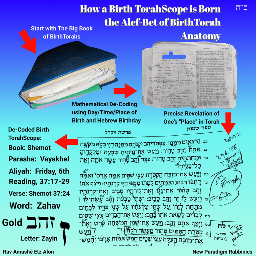 btanatomy smpost ddavi